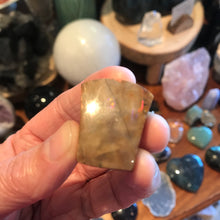 Ammonite Cabouchon SKU 17565