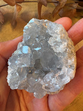 Celestite Cluster SKU 26904