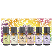 Perfect Potion Lifestyle Essential Oil Blends Kit