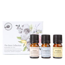 Perfect Potion ‘The Stoic Collection’ Essential Oil Blend Trio