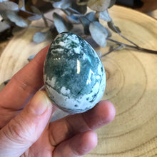 Tree Agate Egg SKU 22028