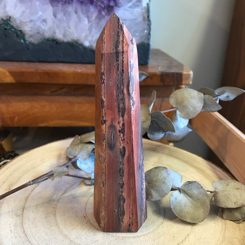 Petrified Wood Point SKU 21899