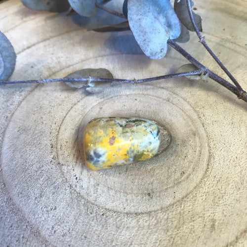 Bumblebee Jasper Tumblestone SKU 10987