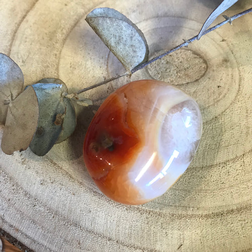 Carnelian Palm Stone SKU 22158