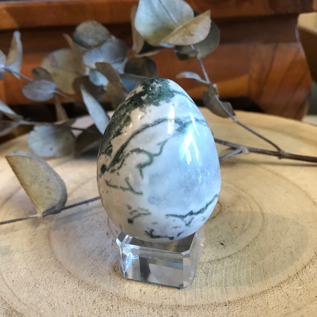 Tree Agate Egg SKU 22028