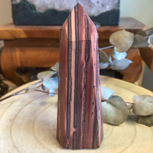 Petrified Wood Point SKU 21898