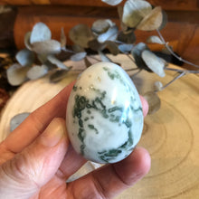 Tree Agate Egg SKU 22032