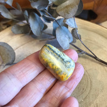 Bumblebee Jasper Tumblestone SKU 10987