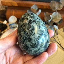 Kambaba Jasper Egg SKU 16889