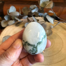 Tree Agate Egg SKU 22032