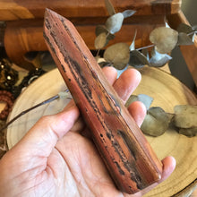 Petrified Wood Point SKU 21899