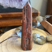 Petrified Wood Point SKU 21899