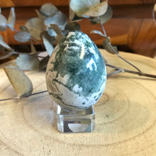 Tree Agate Egg SKU 22028