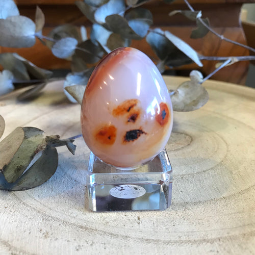 Carnelian Egg SKU 21935
