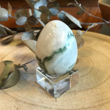 Tree Agate Egg SKU 22032