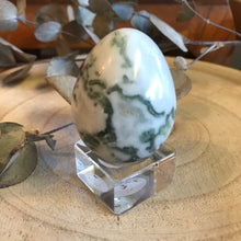 Tree Agate Egg SKU 22032