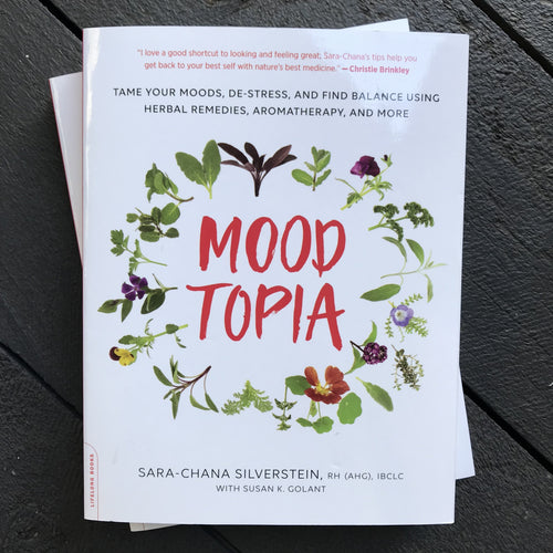Moodtopia by Sara-Chana Silverstein
