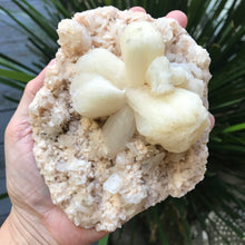 Stilbite and Heulandite Cluster SKU 12794