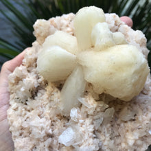 Stilbite and Heulandite Cluster SKU 12794