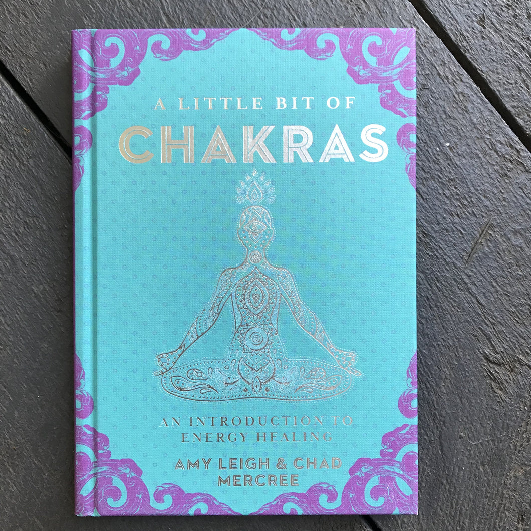 A Little Bit of Chakras by Amy Leigh and Chad Mercree