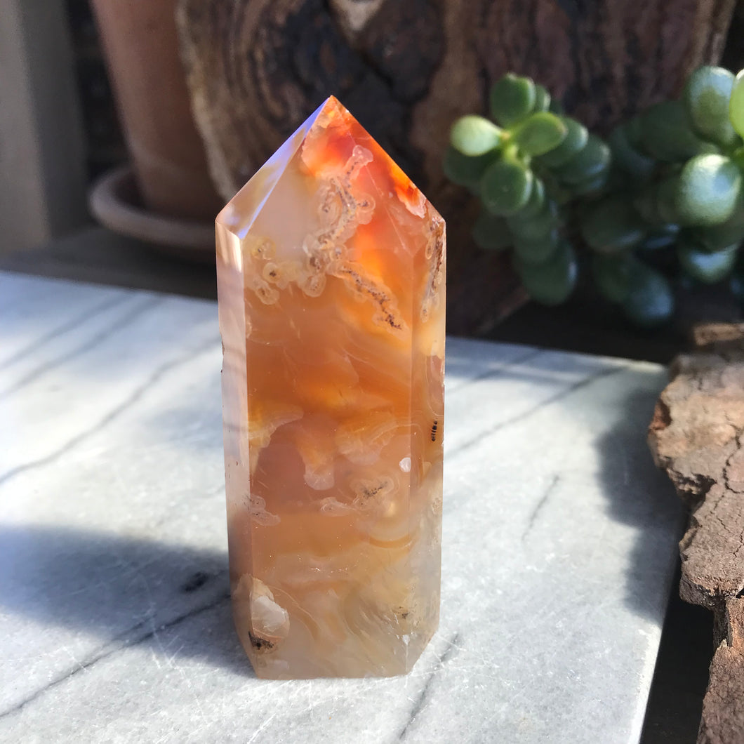 Carnelian Point SKU 20171