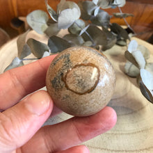 Picture Jasper Sphere SKU 12596