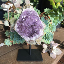 Amethyst Cluster on Stand SKU 16003
