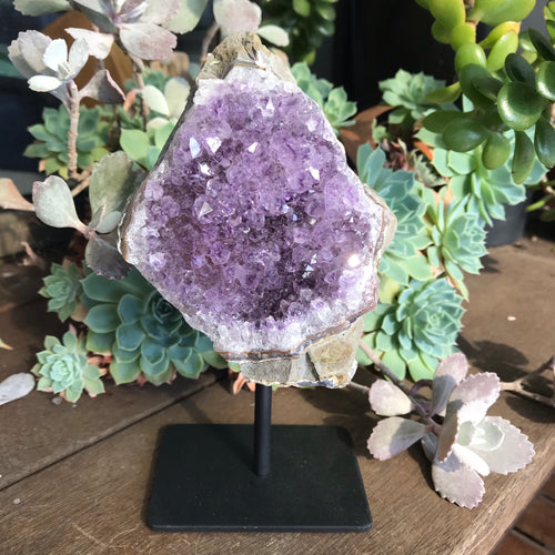Amethyst Cluster on Stand SKU 16003