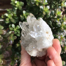Clear Quartz Cluster SKU 12211