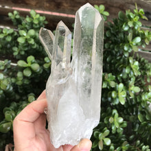 Clear Quartz Cluster SKU 21072