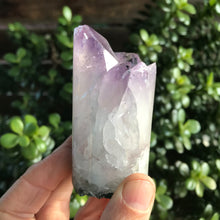 Amethyst Cylinder SKU 20905