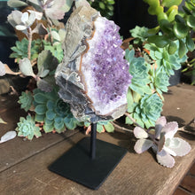Amethyst Cluster on Stand SKU 16003