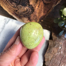 Green Opal Palm Stone SKU 17191