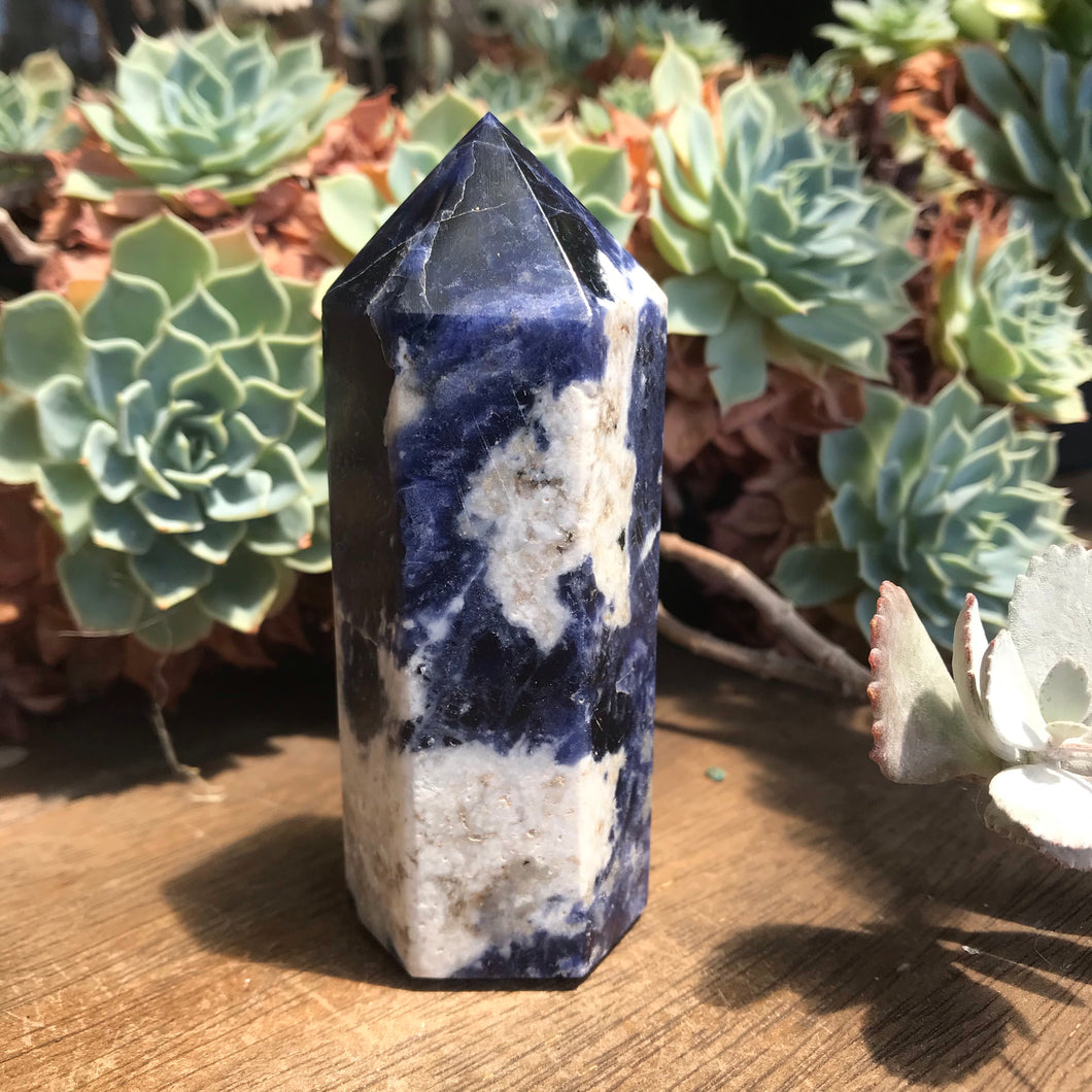 Sodalite Point SKU 17513