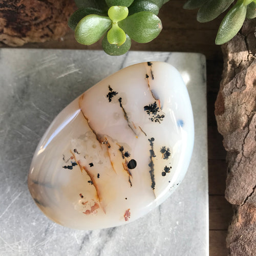 Dendritic Agate Palm Stone SKU 20276