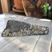 Pyrite in Carbon Specimen SKU 20470