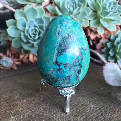 Chrysocolla Egg SKU 15784