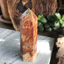 Crazy Lace Agate Point SKU 20174