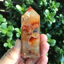 Carnelian Point SKU 20171