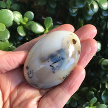 Dendritic Agate Palm Stone SKU 20277