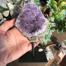 Amethyst Cluster on Stand SKU 16003