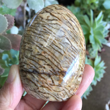 Zebradorite Dome