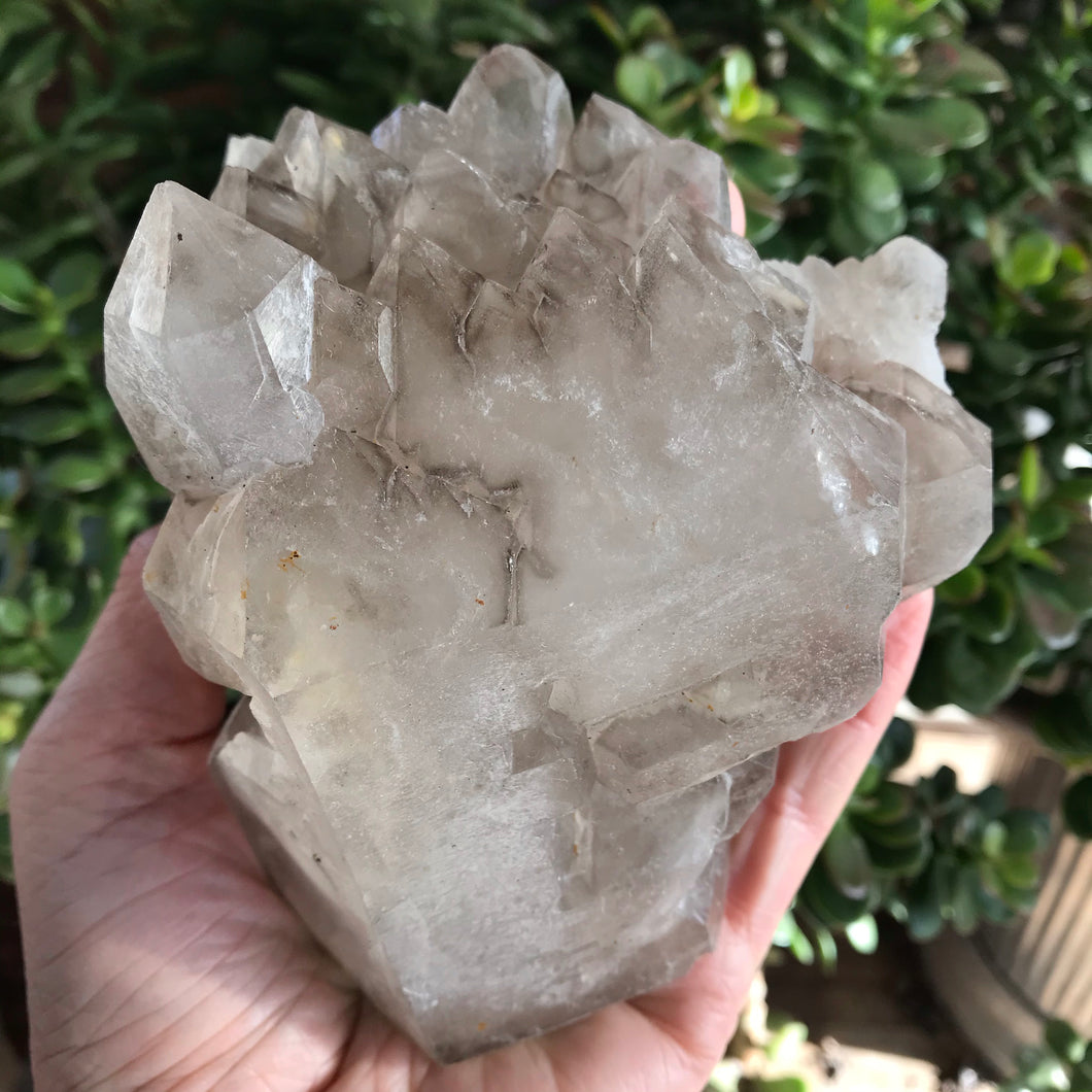 Smoky Elestial Quartz Specimen SKU 17048