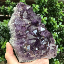 Amethyst Cluster SKU 20569