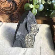 Pyrite in Carbon Specimen SKU 20472