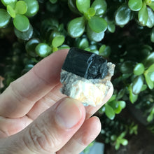 Garnet Specimen SKU 20308