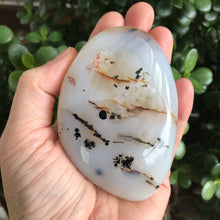Dendritic Agate Palm Stone SKU 20276