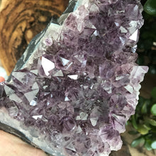 Amethyst Cluster SKU 17941