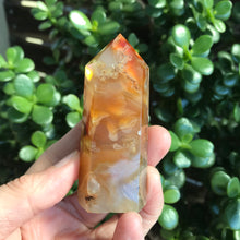 Carnelian Point SKU 20171