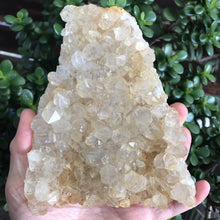 Golden Quartz Cluster on Stand